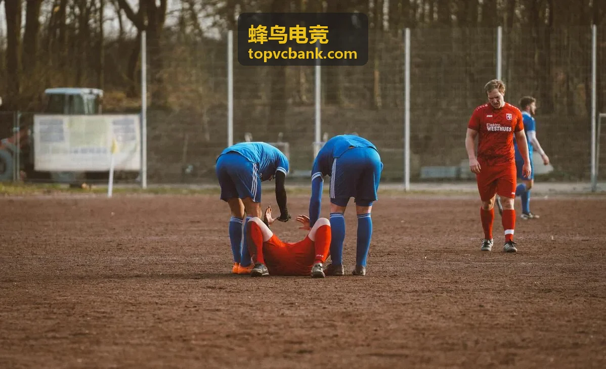 蜂鸟电竞战术复盘与数据分析